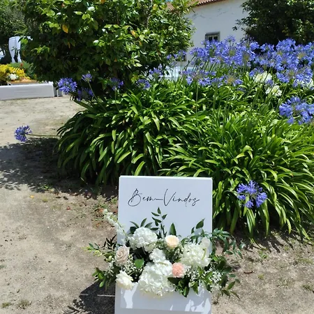 Palacio Da Quinta Da Portela Ii 公寓