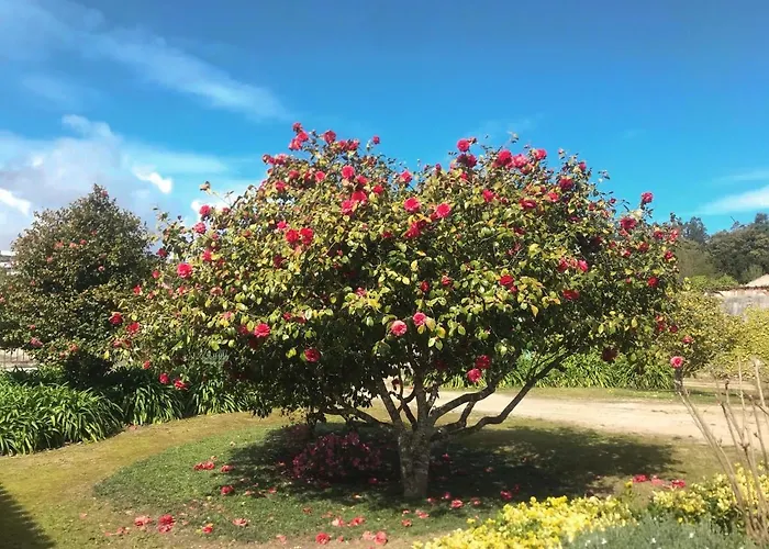 公寓 Palacio Da Quinta Da Portela Ii 科英布拉